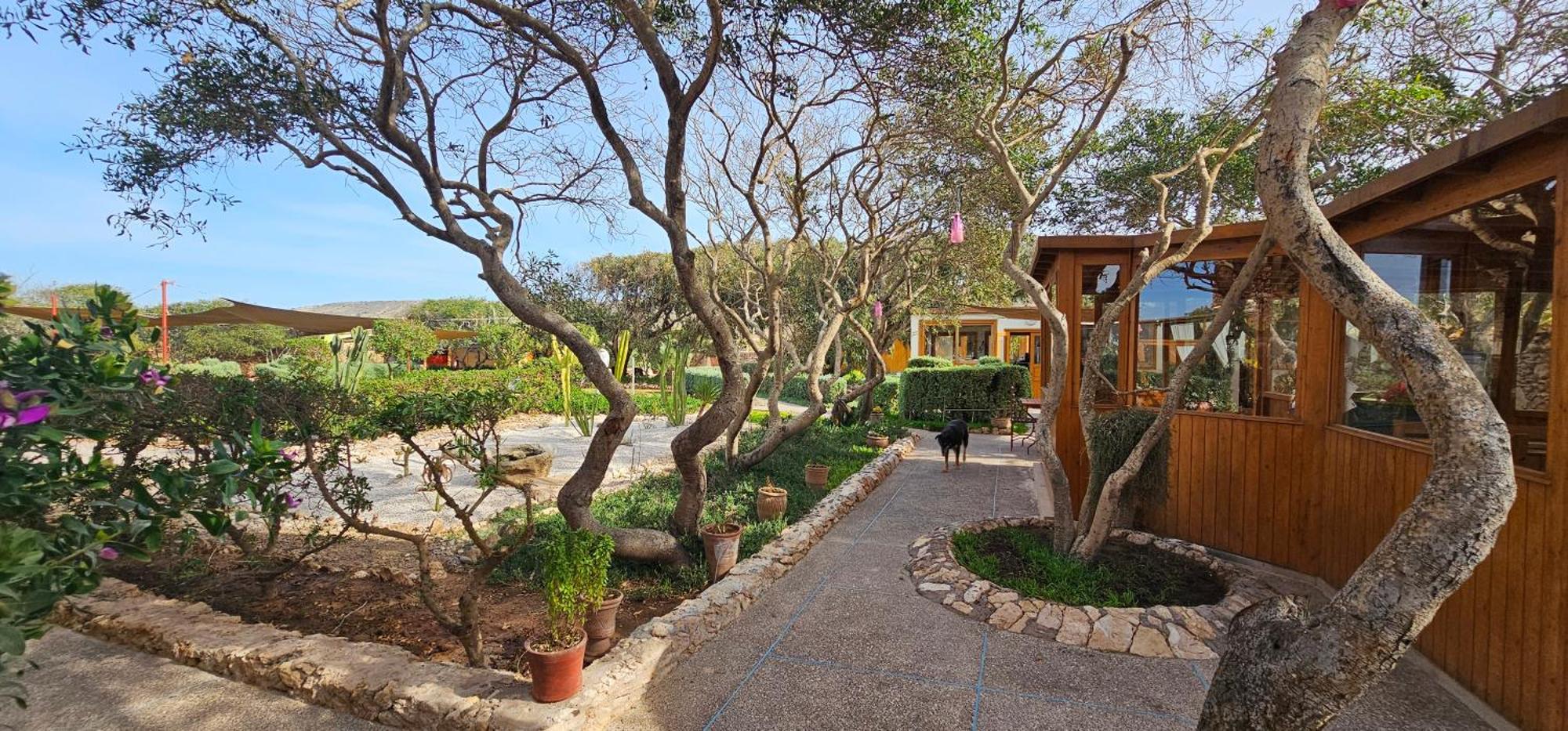 Hotel Golden Baibah à Zaouia Akermoud Extérieur photo